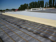 Primer, roofing foam and elastomeric base coat.